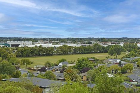 Photo of property in 1 Huntlywood Terrace, Hillsborough, Christchurch, 8022