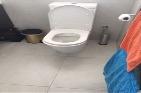 Photo of property in 20 Rogan Street, Mount Roskill, Auckland, 1041