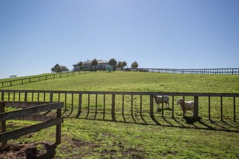Photo of property in 376 Morgan Road, Matamata, 3472