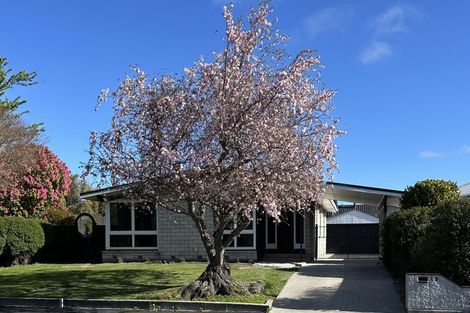 Photo of property in 19 Talltree Avenue, Avonhead, Christchurch, 8042