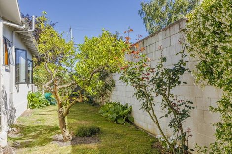 Photo of property in 709 Nelson Street North, Hastings, 4122