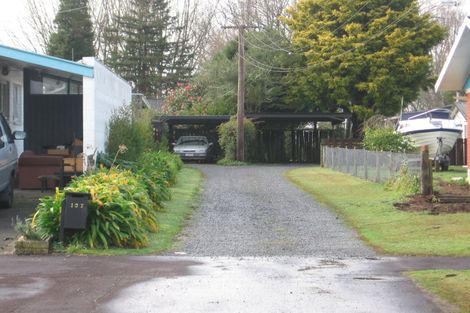 Photo of property in 137 Fitzroy Avenue, Fitzroy, Hamilton, 3206