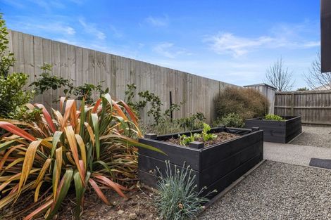 Photo of property in 46 Greenwich Street, Halswell, Christchurch, 8025