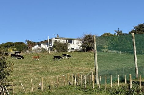 Photo of property in 17 Hyde Street, Katikati, 3129