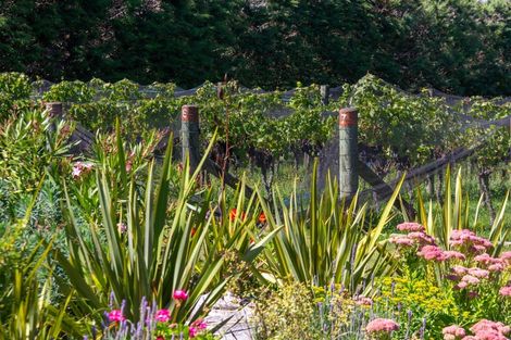Photo of property in 190 Regent Street, Martinborough, 5711