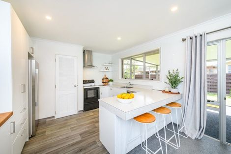 Photo of property in 115 Winchester Street, Ashhurst, 4810