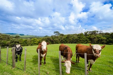 Photo of property in 186b Taylor Road, Waimauku, 0882