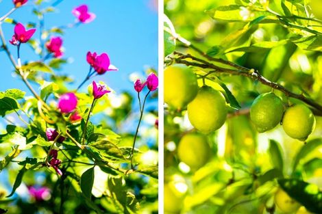 Photo of property in 3 Washington Terrace, Washington Valley, Nelson, 7010