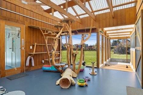 Photo of property in 52 Church Street, Oxford, 7430