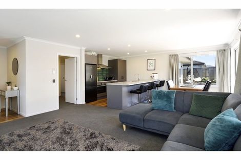 Photo of property in 22 Chertsey Street, Richmond, 7020