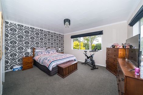 Photo of property in 42 Manson Street, Terrace End, Palmerston North, 4410