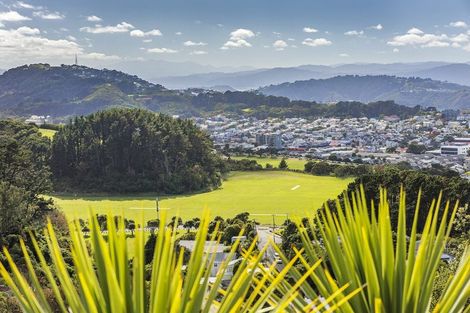 Photo of property in 43 Farnham Street, Mornington, Wellington, 6021