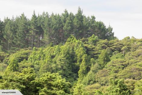 Photo of property in 137 Mcdonnell Road, Mangapai, Whangarei, 0178