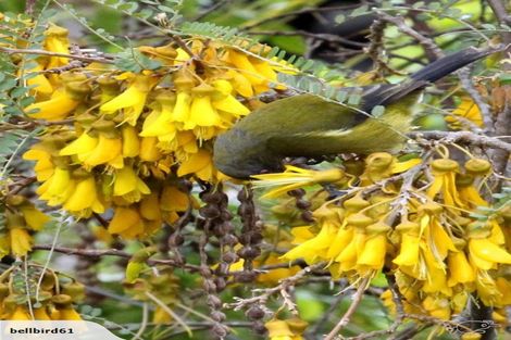 Photo of property in 12 Matai Place, Waikawa, Picton, 7220