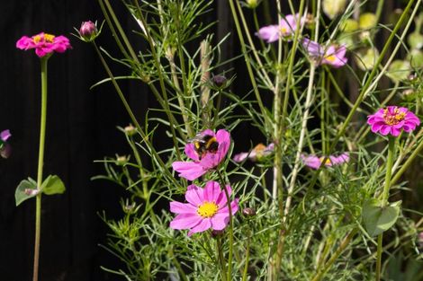 Photo of property in 6 Matau Close, Te Kauwhata, 3710