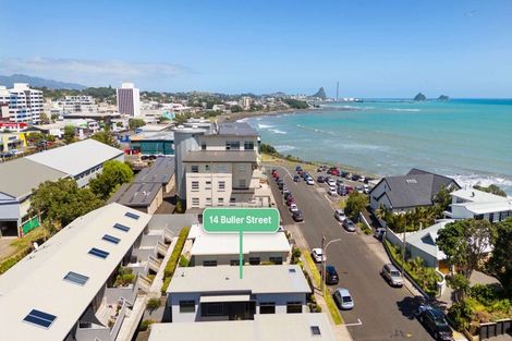 Photo of property in 14 Buller Street, New Plymouth, 4310