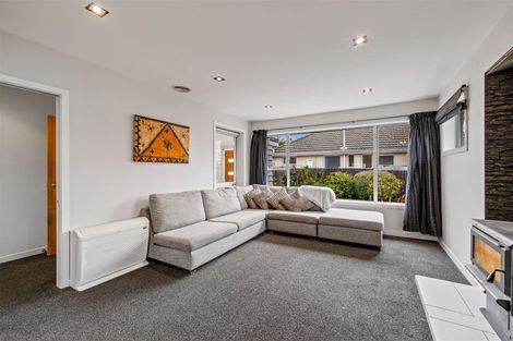 Photo of property in 207 Grimseys Road, Redwood, Christchurch, 8051
