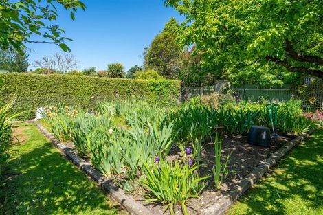 Photo of property in 17 Parsonage Road, Waimate, 7924