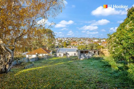 Photo of property in 146 Sidey Street, Calton Hill, Dunedin, 9012