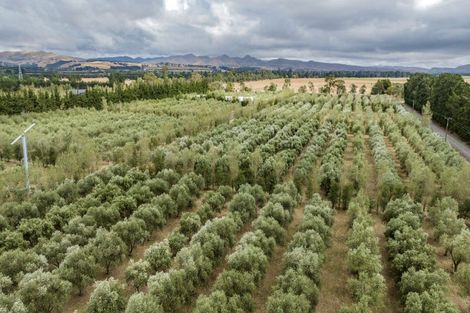 Photo of property in 179 Racecourse Road, Amberley, 7482