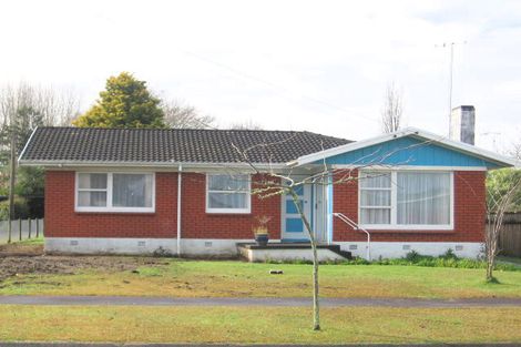 Photo of property in 141 Fitzroy Avenue, Fitzroy, Hamilton, 3206