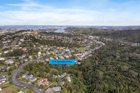 Photo of property in 114 Spinella Drive, Bayview, Auckland, 0629