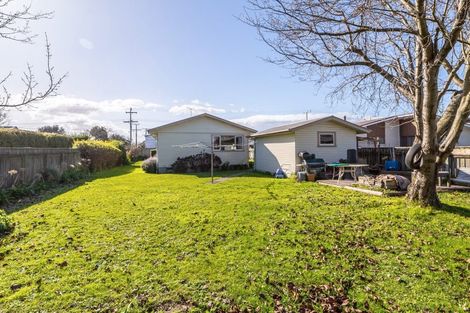 Photo of property in 20 Dublin Street, Martinborough, 5711