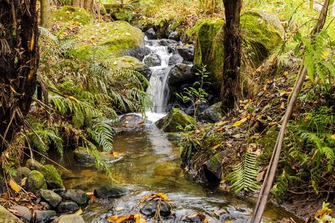 Photo of property in 1/180 Oreipunga Road, Maungatautari, Cambridge, 3494