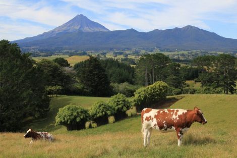 Photo of property in 456 Barrett Road, Omata, New Plymouth, 4374