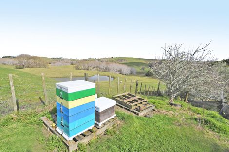 Photo of property in 301 Ranganui Road, Kaiwaka, 0573