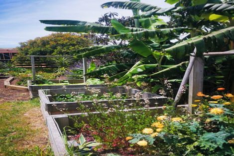 Photo of property in 31 Kakapo Road, Ahipara, Kaitaia, 0481