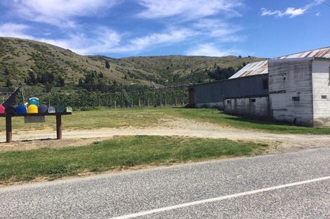 Photo of property in 250 Ripponvale Road, Cromwell, 9384