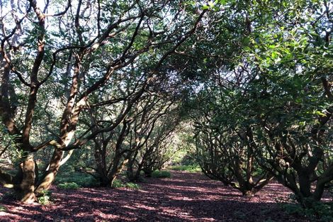 Photo of property in 113 Tanners Point Road, Tanners Point, Katikati, 3177