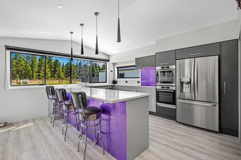 Photo of property in 45 Larch Crescent, Alexandra, 9320