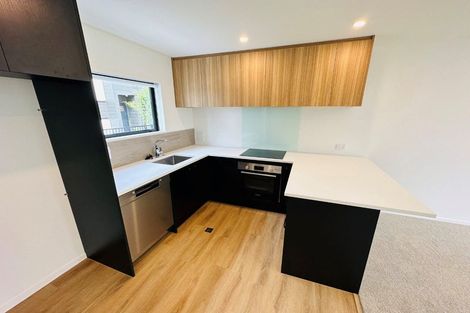 Photo of property in 14/15 Bunyan Street, Waltham, Christchurch, 8023