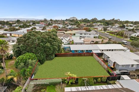 Photo of property in 16a Leander Street, Mount Maunganui, 3116