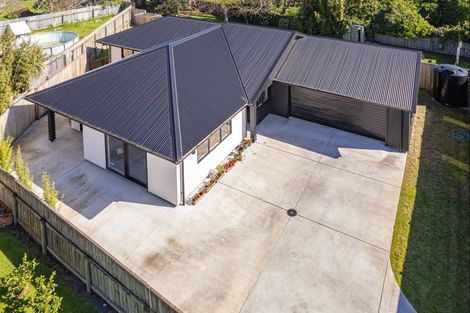 Photo of property in 17a Alma Road, Gonville, Whanganui, 4501