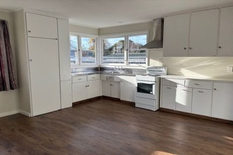 Photo of property in 77 Princes Street, Netherby, Ashburton, 7700