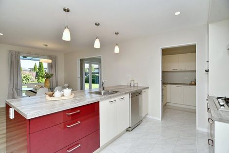 Photo of property in 47 Ruapani Street, Marshland, Christchurch, 8083