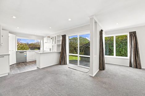 Photo of property in 19 Kinnaird Place, Hillmorton, Christchurch, 8025