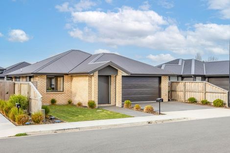 Photo of property in 7 Grimwood Street, Woodend, 7610