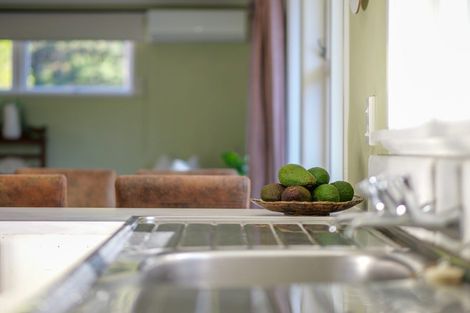 Photo of property in 24 Hope Avenue, Russell, 0202