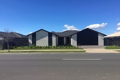 Photo of property in 31 Te Ranga Memorial Drive, Pyes Pa, Tauranga, 3112