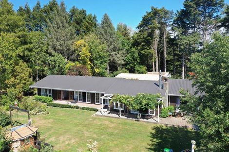 Photo of property in 414 Rakaiatai Road, Ormondville, Dannevirke, 4977