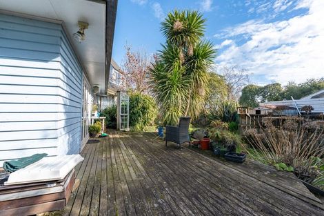 Photo of property in 48 Carrington Avenue, Hillcrest, Hamilton, 3216