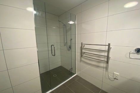 Photo of property in Canvas Apartments, 12/307 Willis Street, Te Aro, Wellington, 6011