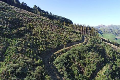 Photo of property in 90 Bachelors Road, Little River, 7591