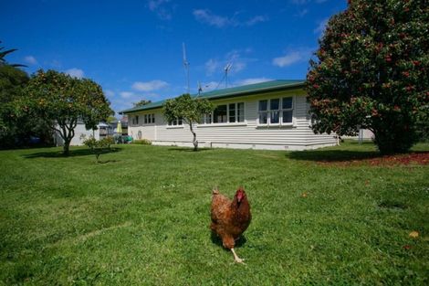 Photo of property in 1132 Ohaupo Road, Te Awamutu, 3800