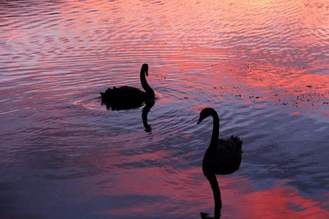 Photo of property in 483 Spencer Road, Lake Tarawera, Rotorua, 3076