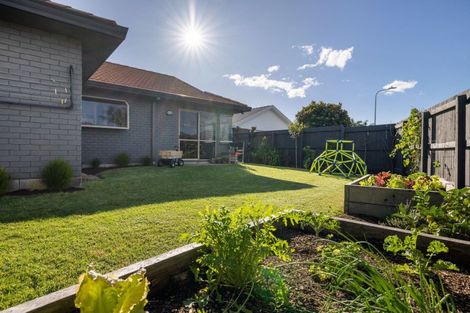 Photo of property in 175 Grenada Street, Mount Maunganui, 3116
